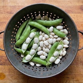 Henderson, Bean Seeds